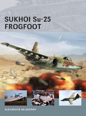 Alexander Mladenov: Sukhoi Su-25 Frogfoot [2013] paperback For Sale